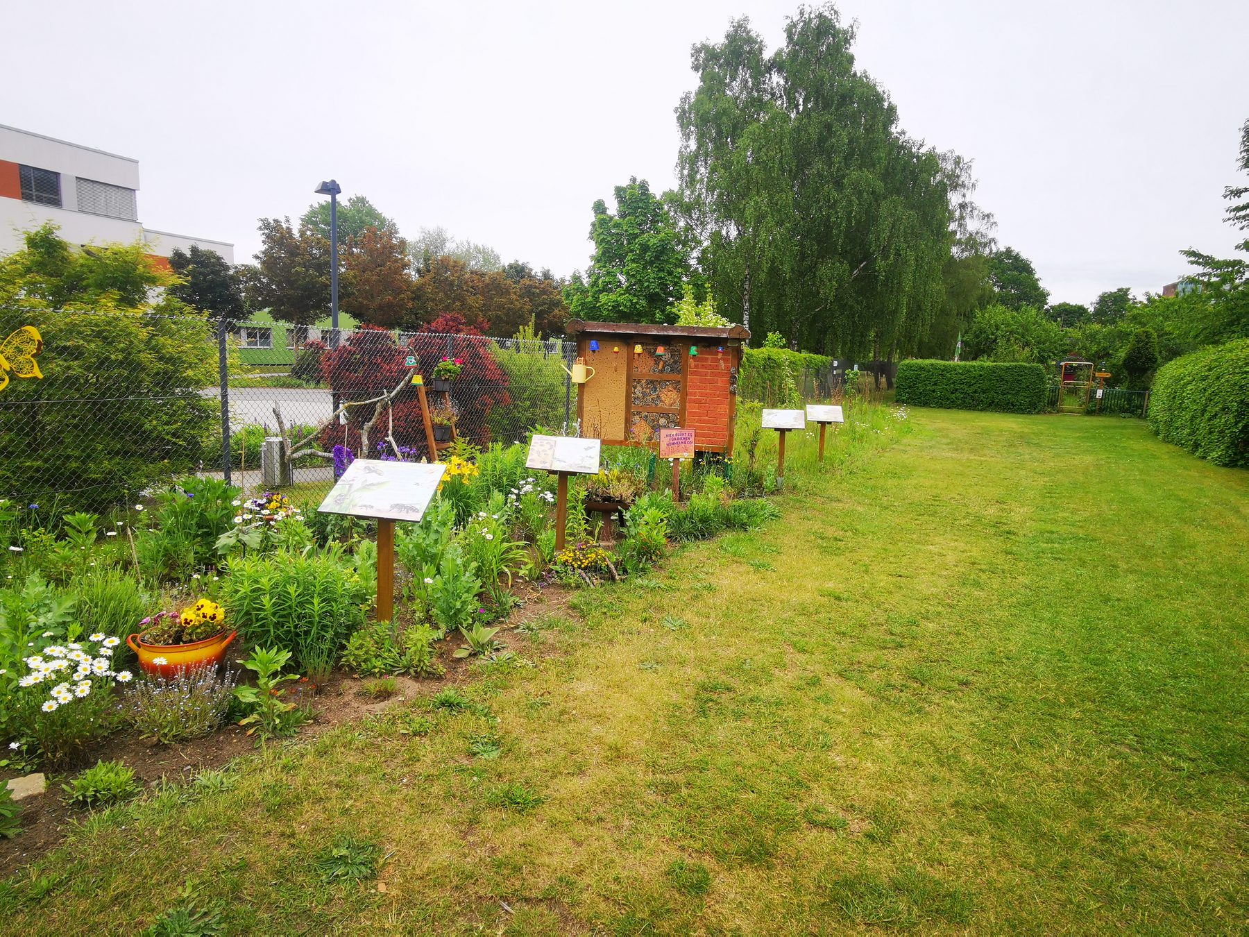 Blick in den Obst- und Gemeinschaftsgarten